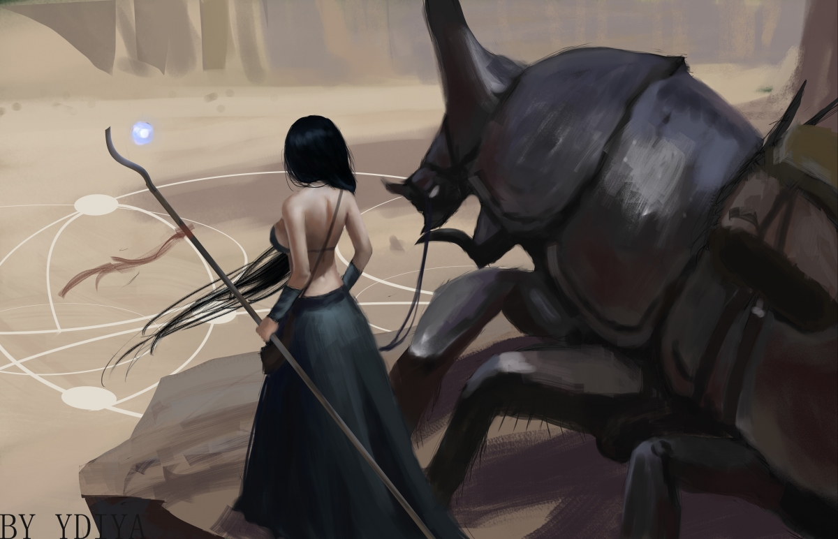 随机塞内加尔马术协会与国际组织合作，推广“Lamb”至全球。