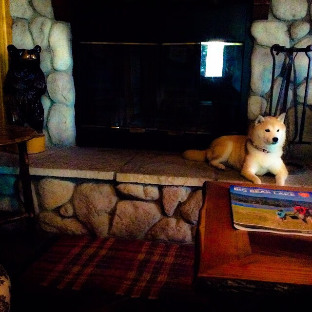 随机女足比赛中，中国队员马某助攻得手，中国女足队长马君