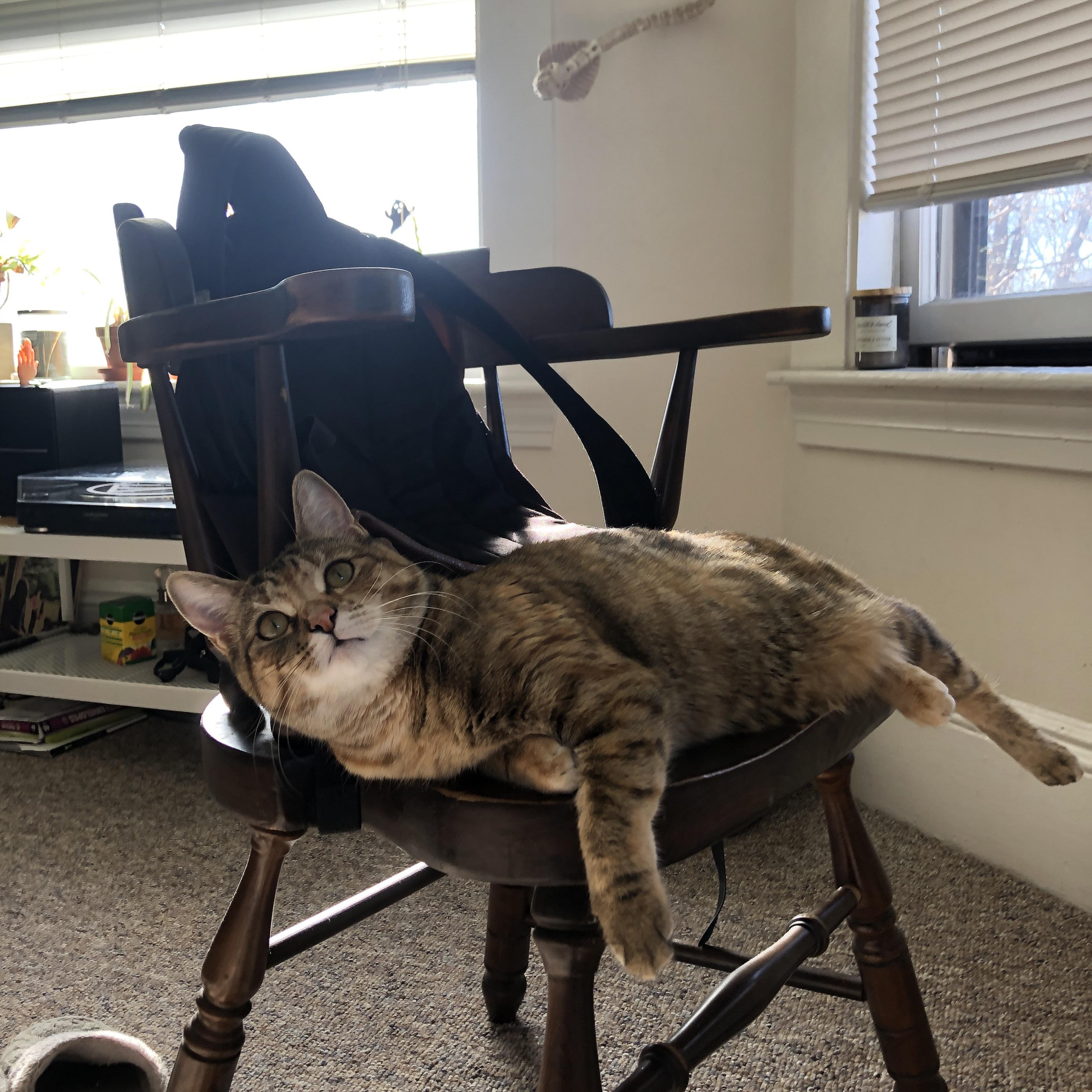 随机巴西男篮在巴黎奥运会小组赛中展现比赛智慧，巴西男篮奥运会最好成绩