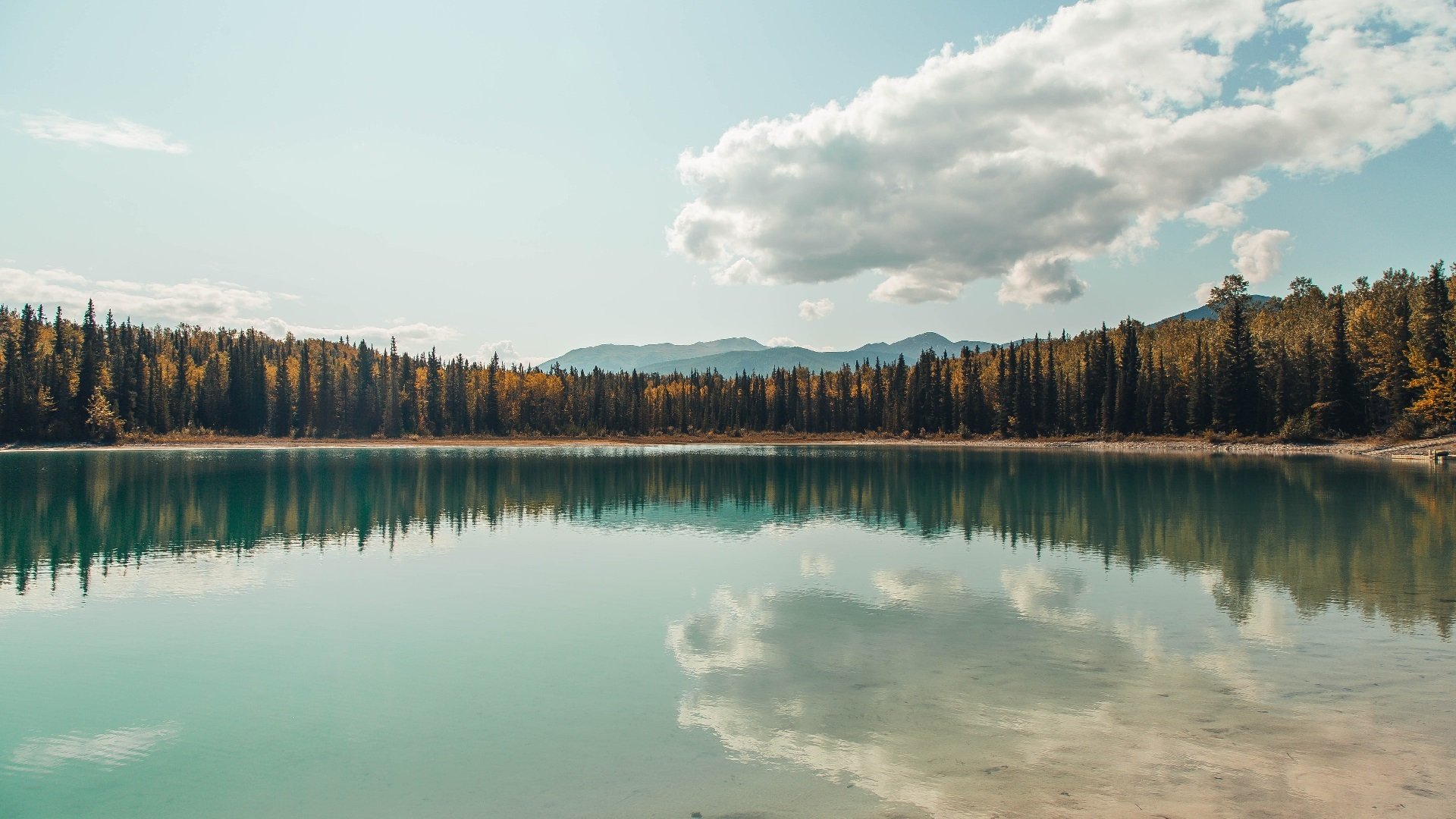 随机球场震撼！国家队再下一城，实力稳坐领先位置，国家队还会出吗