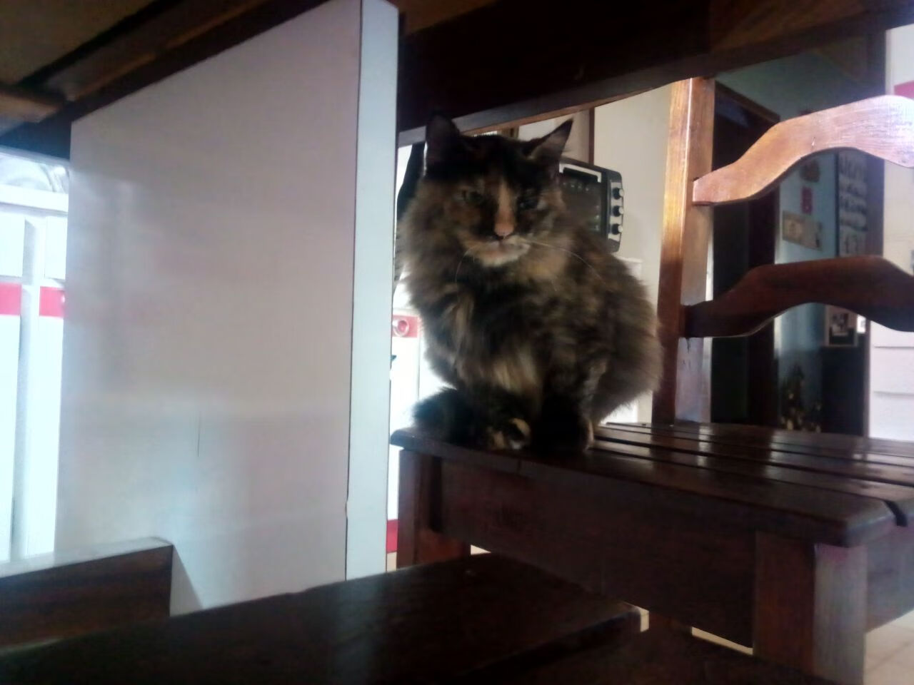 随机球队是否应设立球员文化推广部门，球队文化包括什么