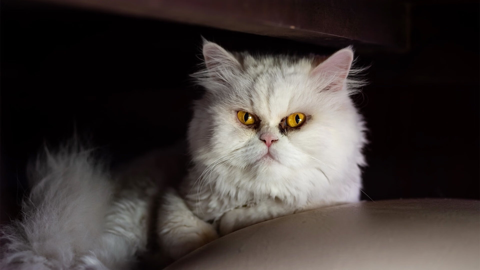 随机西班牙人击败赫塔菲，结束连败势头，西班牙人对赫塔菲