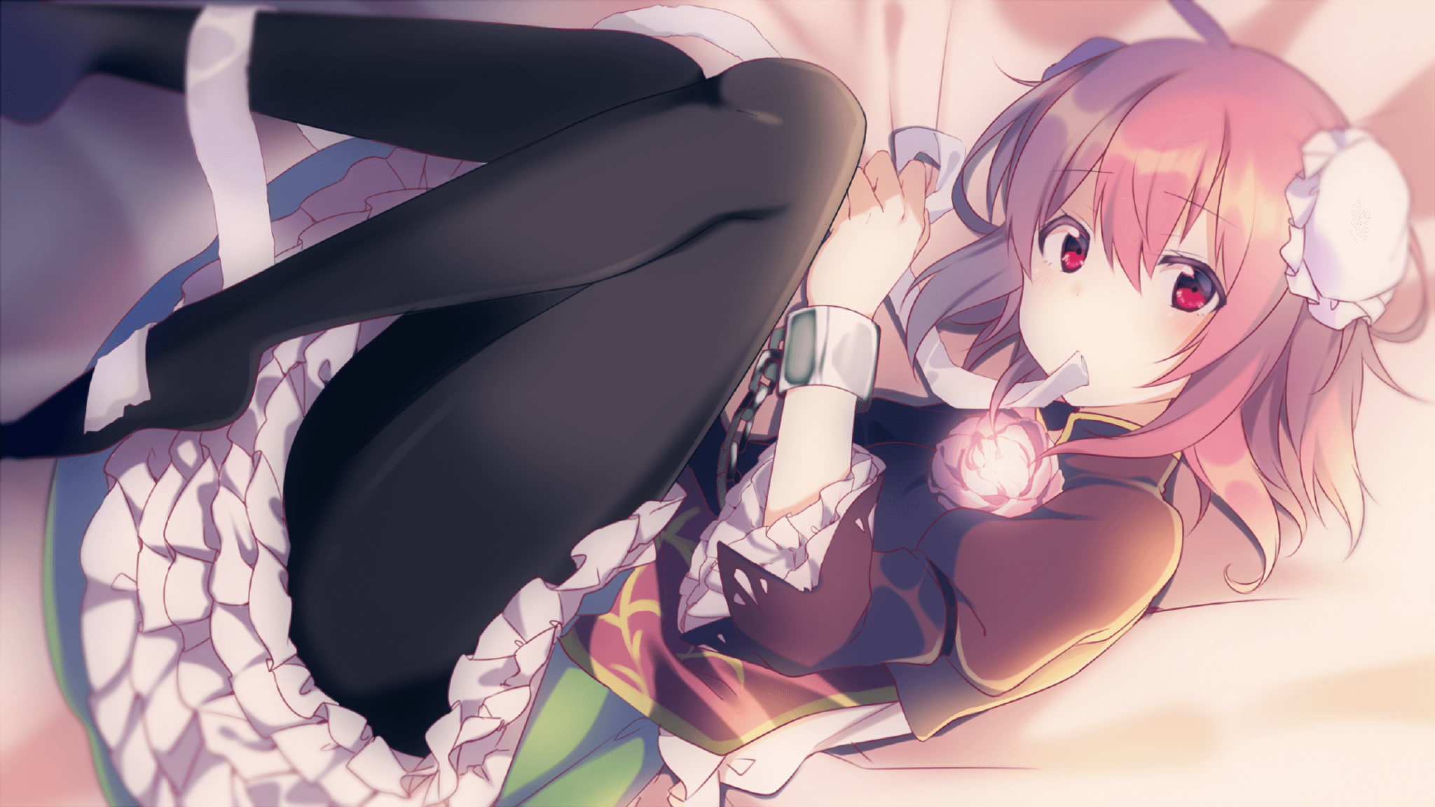 随机克罗地亚马术协会与非洲马术协会开展技术援助项目，提升当地水平。