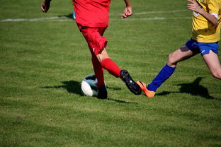 随机世界台球联赛中国队勇夺团体亚军，世界台球联赛中国队勇夺团体亚军是谁