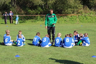 随机中国篮球教练员战术创新能力培养及培训机制探讨，篮球教练员素养