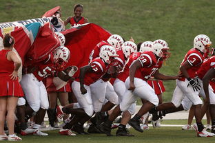 随机全国青少年皮划艇竞速赛在杭州顺利举行，青少年皮划艇夏令营活动