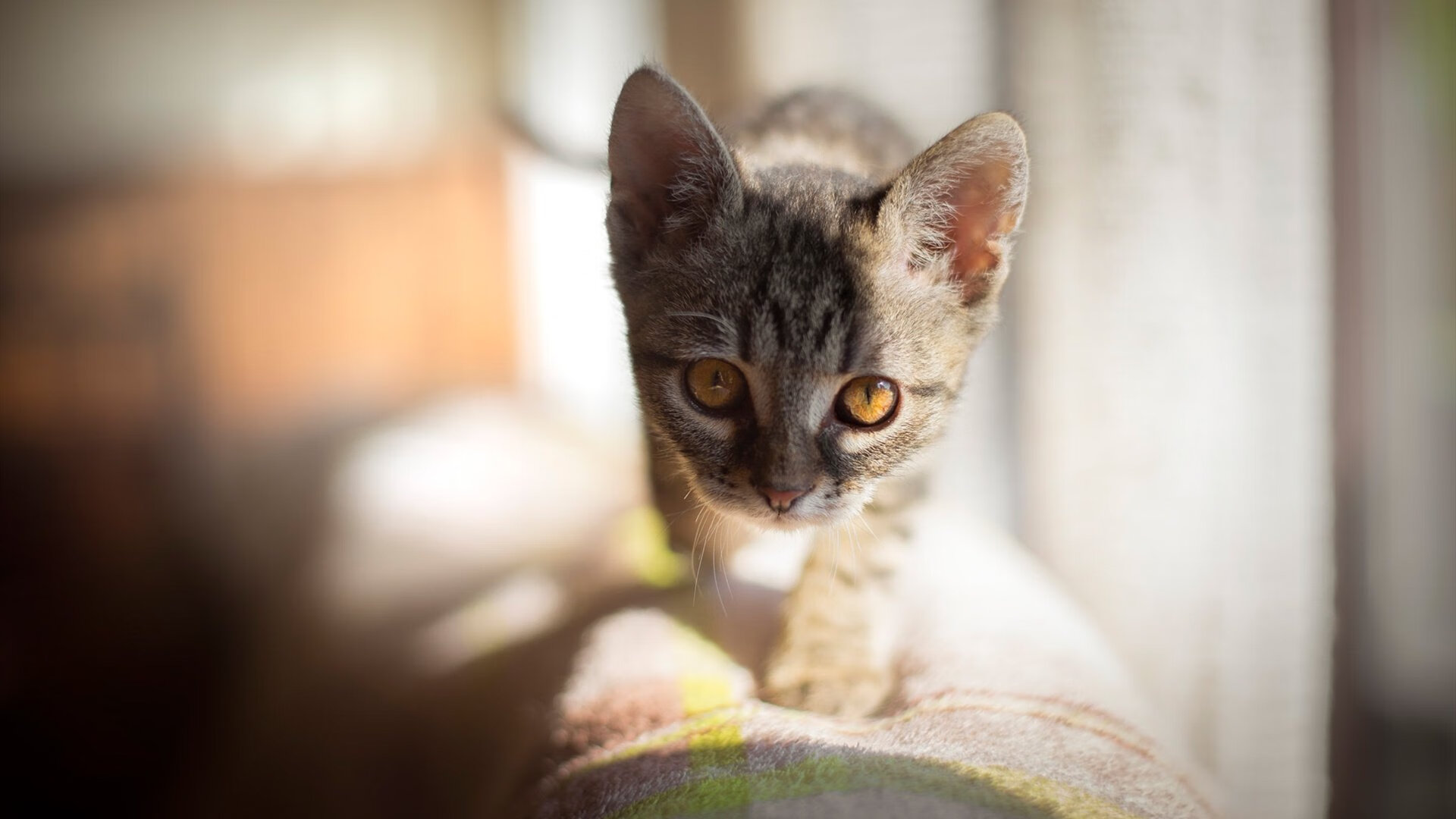 爱游戏体育APP下载-各大联赛角逐：争冠、保级、欧战席位谁笑谁输？，五大联赛欧战积分排名更新