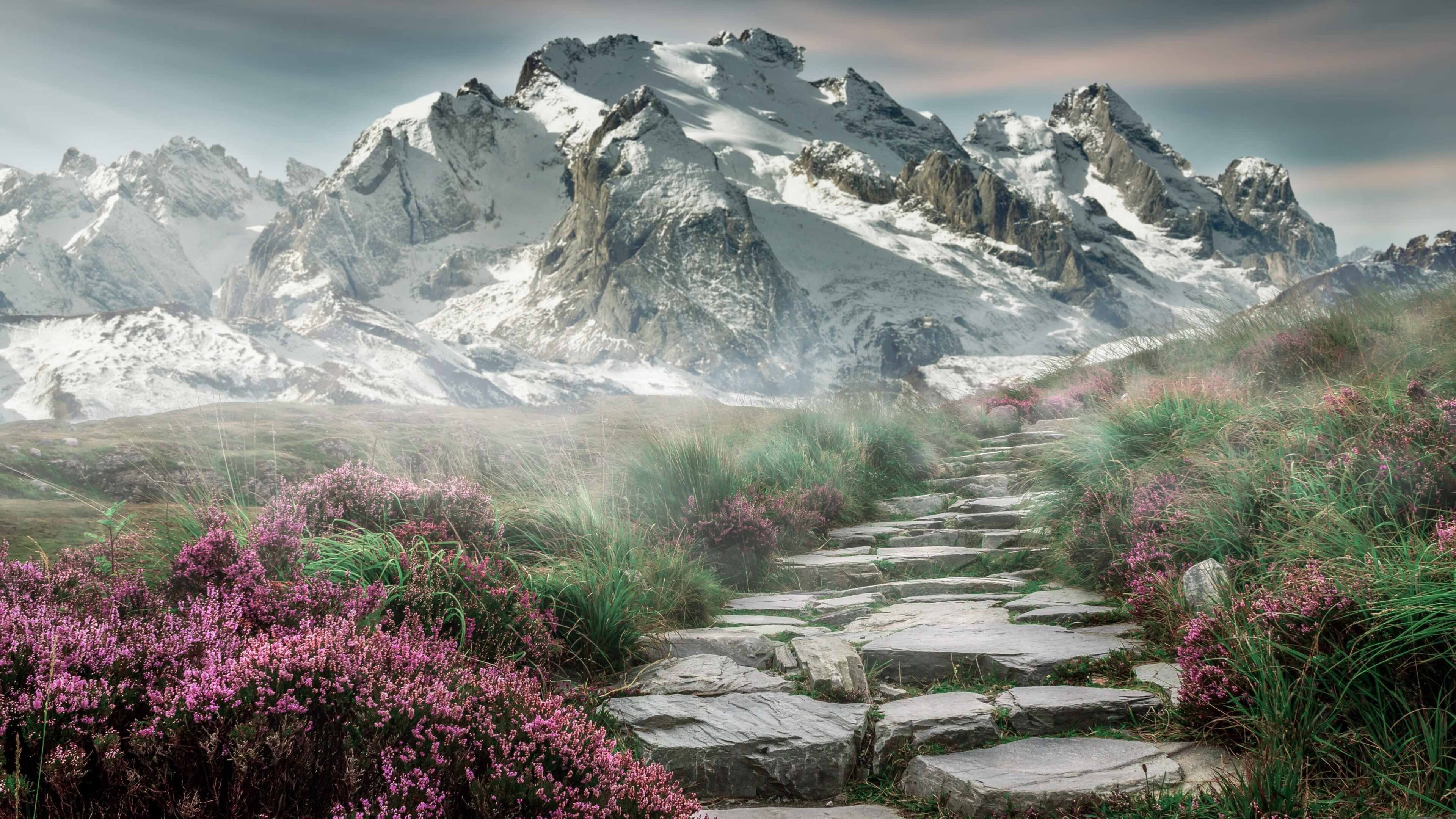 爱游戏体育（AYX）官方APP下载-“热刺锋线火力全开，阿仙奴如何迎战？”