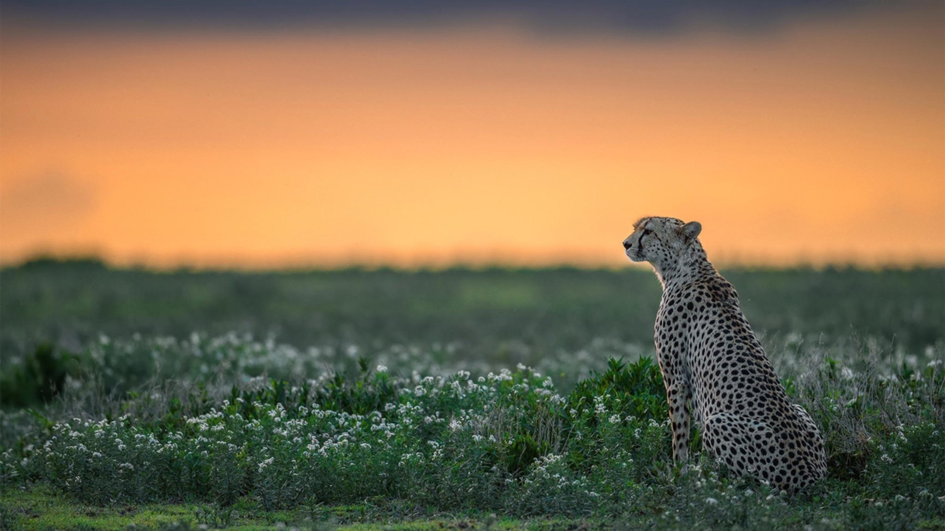 爱游戏娱乐平台-举重世锦赛中国女队横扫五金，2021年女子举重世锦赛