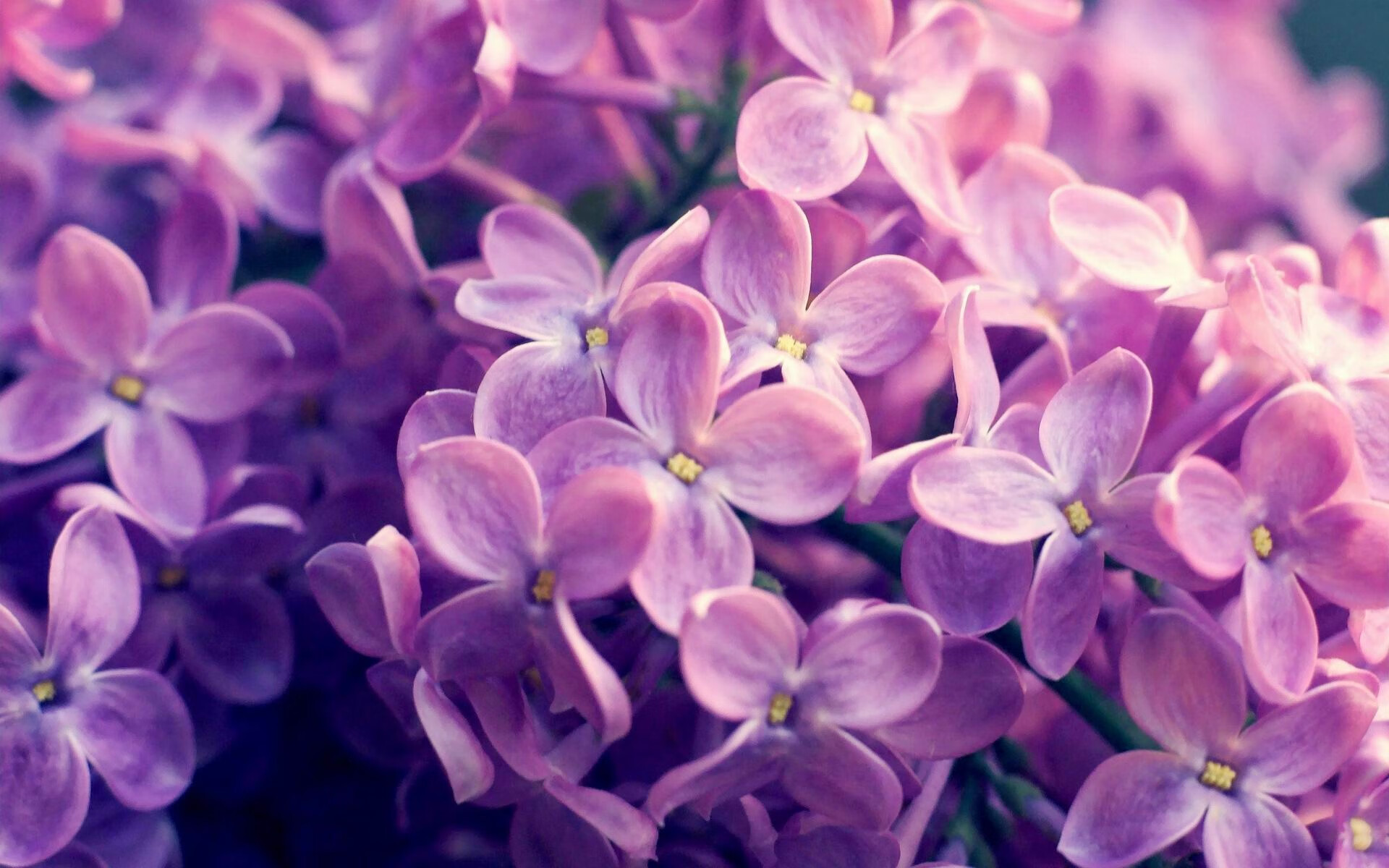 爱游戏平台-英超激情冲刺：每一场比赛都扣人心弦，英超集锦视频