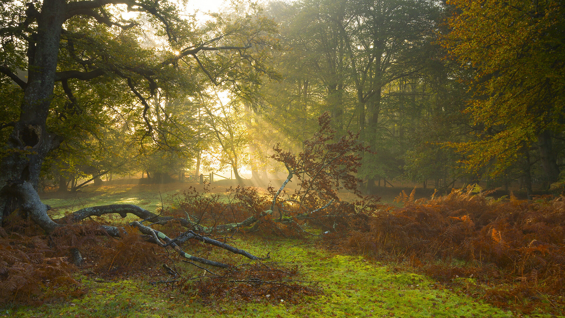 AYX GAME-足球青训公益计划在偏远地区推广，足协青训计划