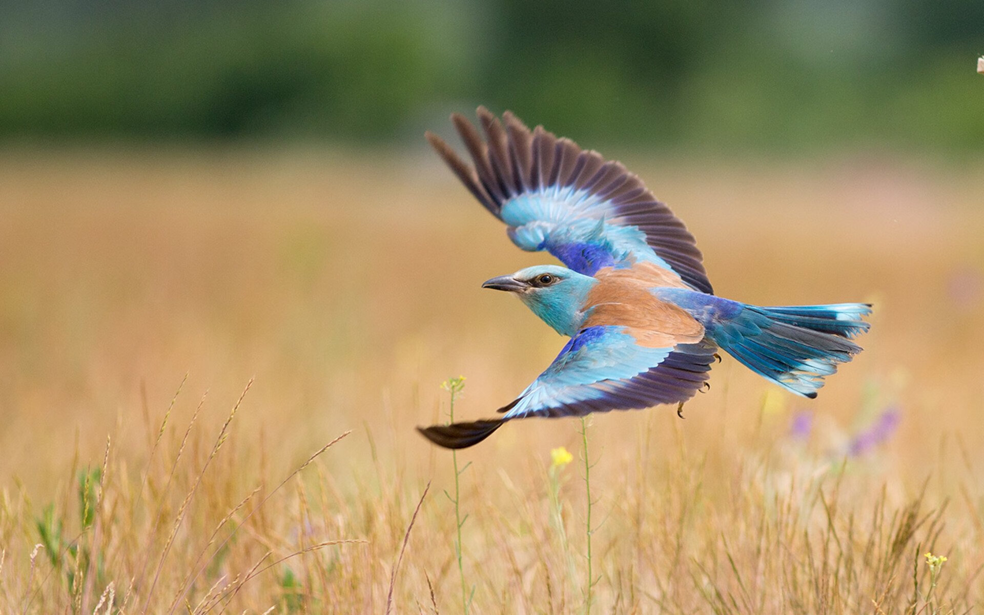 爱游戏体育app-青少年篮球试点视频教学资源助力普及推广，青少年篮球基本功训练视频